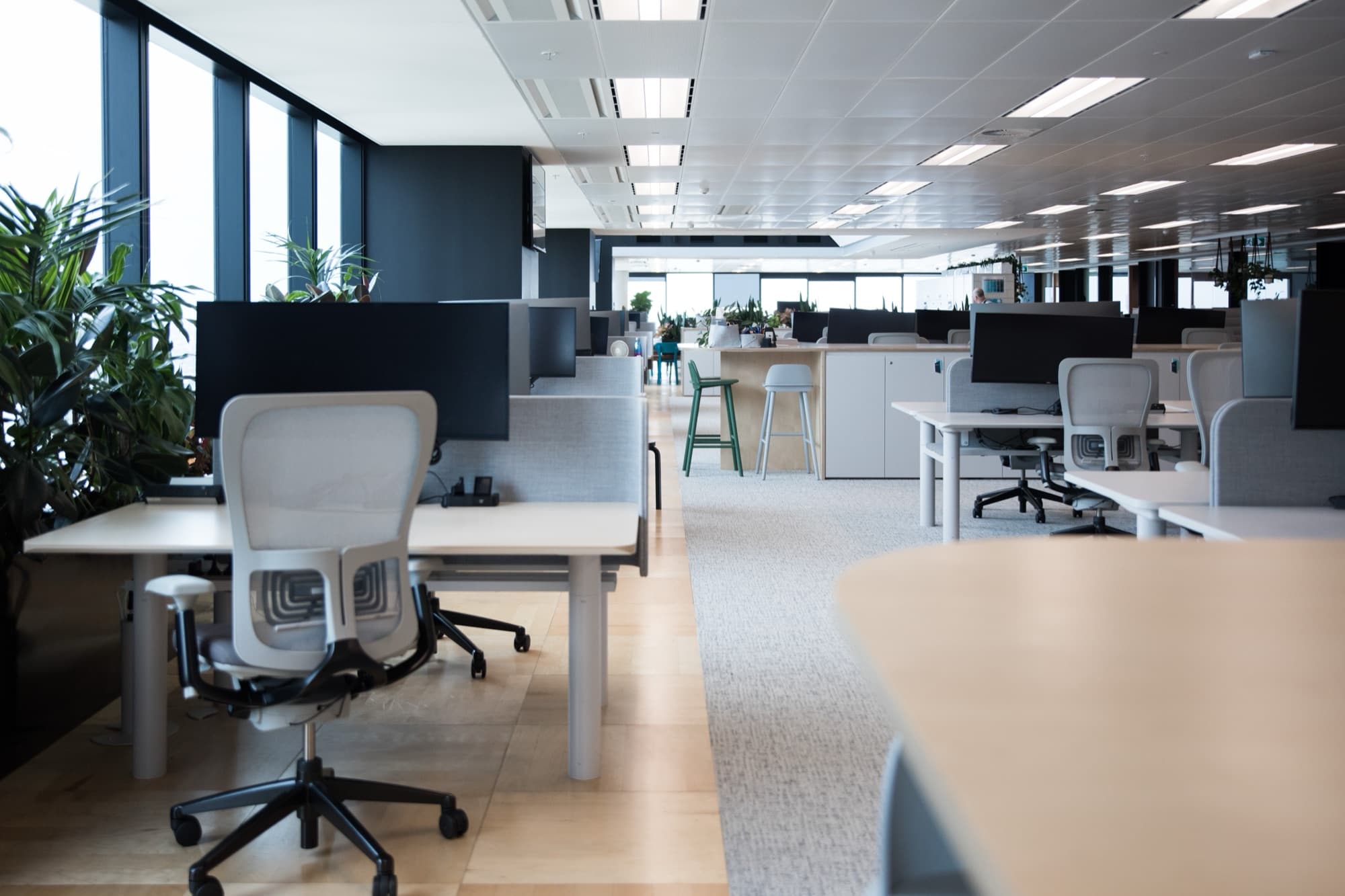 Completed open-plan office fit-out with desking, screens, suspended ceiling lighting and a break-out counter